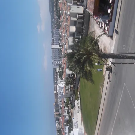 Livas